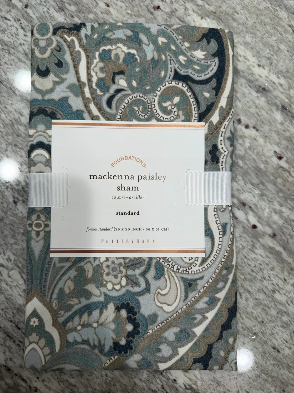 Pottery Barn Blue, Gray & Tan Paisley Standard Sham